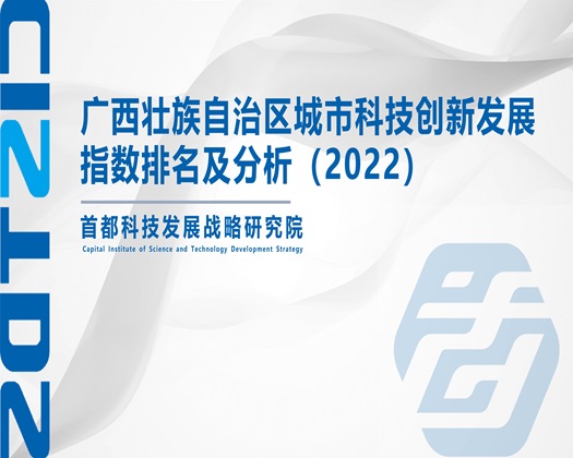 欧美高清鸡巴操逼视频【成果发布】广西壮族自治区城市科技创新发展指数排名及分析（2022）